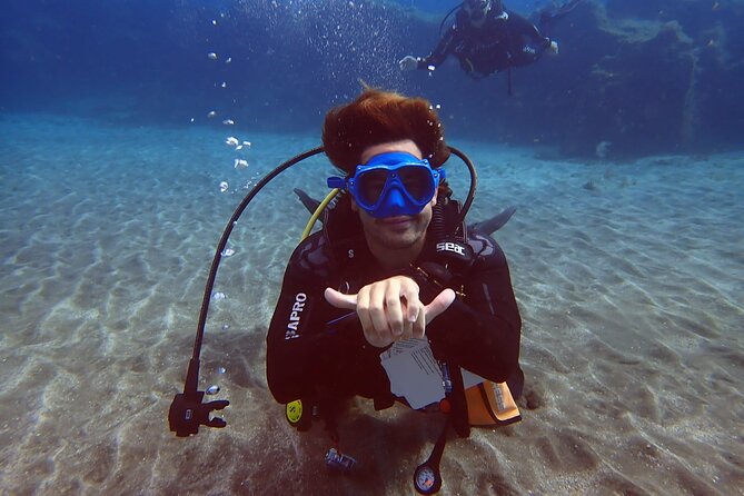 Discover beginner diving in Tenerife - Why Abades works for a first underwater session