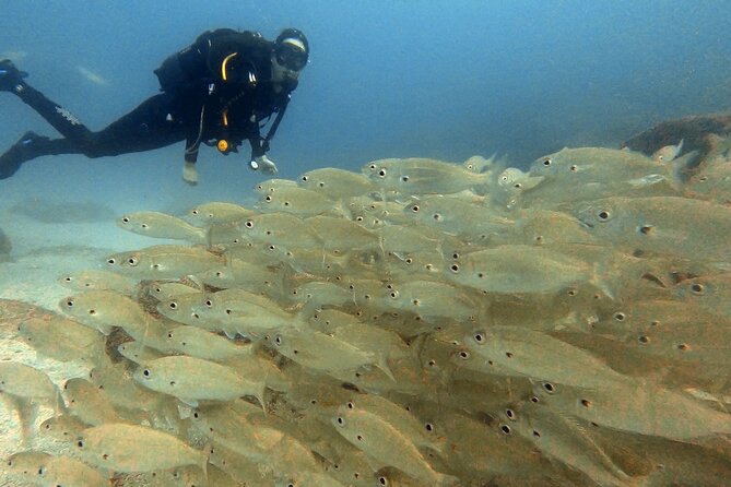 Discover beginner diving in Tenerife - What the underwater portion is like