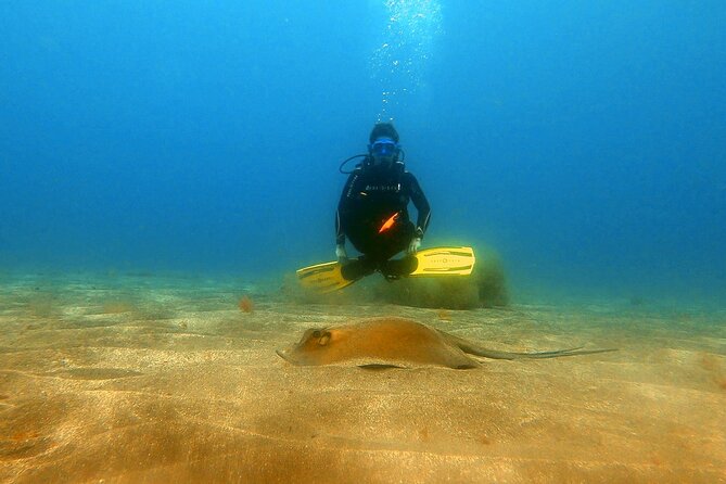 Discover beginner diving in Tenerife - The physical and medical requirements