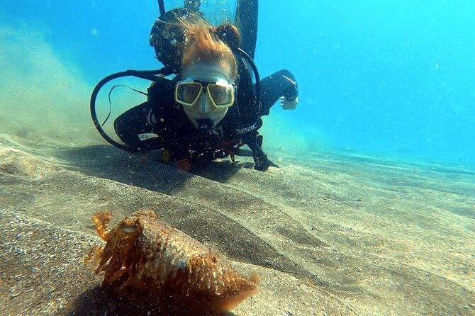 Discover beginner diving in Tenerife - Timing around flights and weather