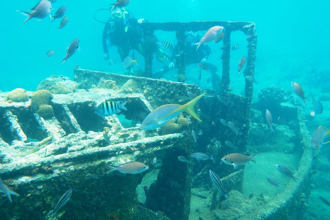 Discover Diving in Curacao - What the four-hour Curacao course actually includes