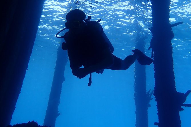 Discover Diving in Curacao - The instructors make the biggest difference