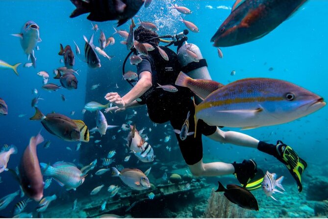 Discover Diving in Curaçao with Transportation Included - Starting at the Renaissance Mall and Rif Fort
