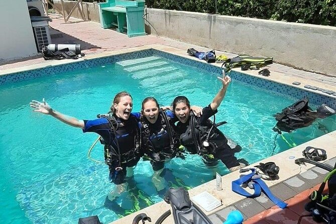 Discover Diving in Curaçao with Transportation Included - A fair look at the $145 price