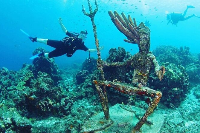 Discover Diving in Curaçao with Transportation Included - Age, comfort, and practical expectations