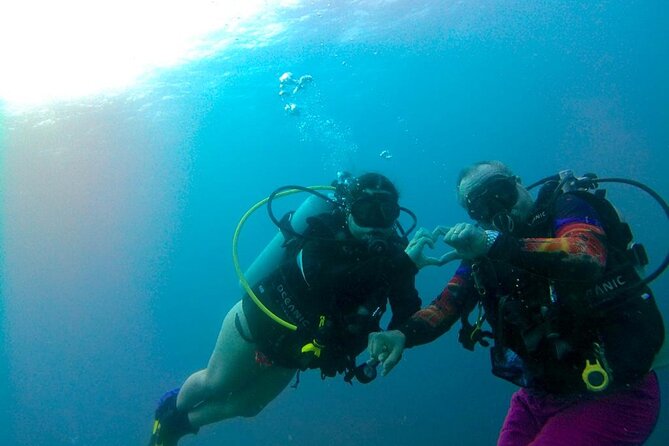 Discover Diving in Curaçao with Transportation Included - Your first open-water outing in Curaçao