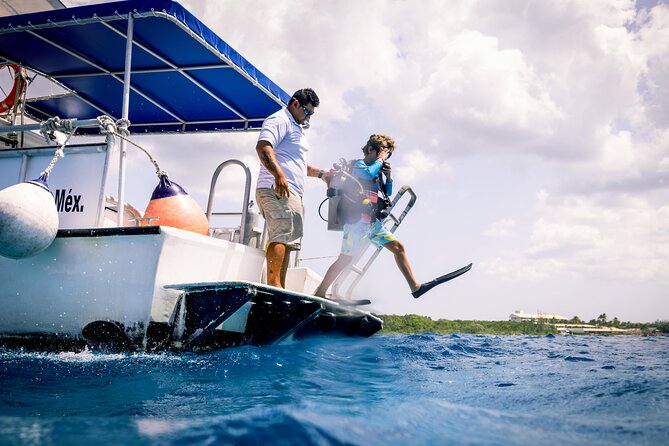 Discover Diving in the Reefs of Cozumel - The essentials at a glance