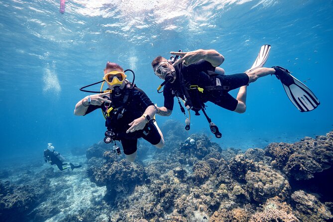 Discover Diving in the Reefs of Cozumel - The classroom briefing: useful, not just paperwork