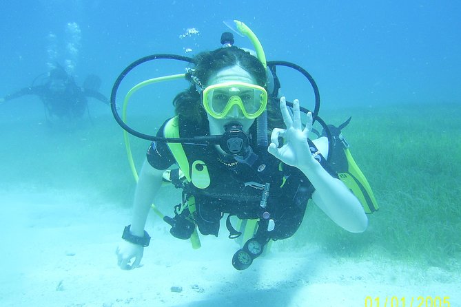 Discover Fajardo: 2-Tank Scuba Diving - The second session: guided reef exploration