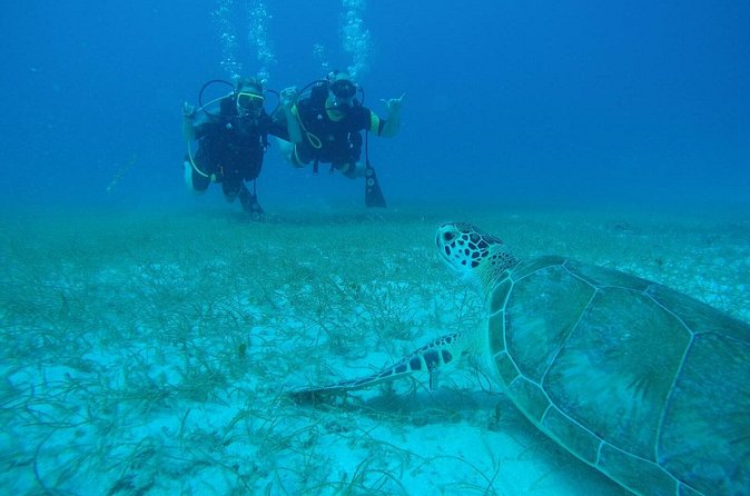 Discover Fajardo: 2-Tank Scuba Diving - What the crew does especially well
