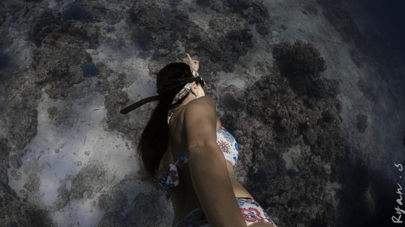 Discover Freediving in Boracay - Is $57 fair for two hours?