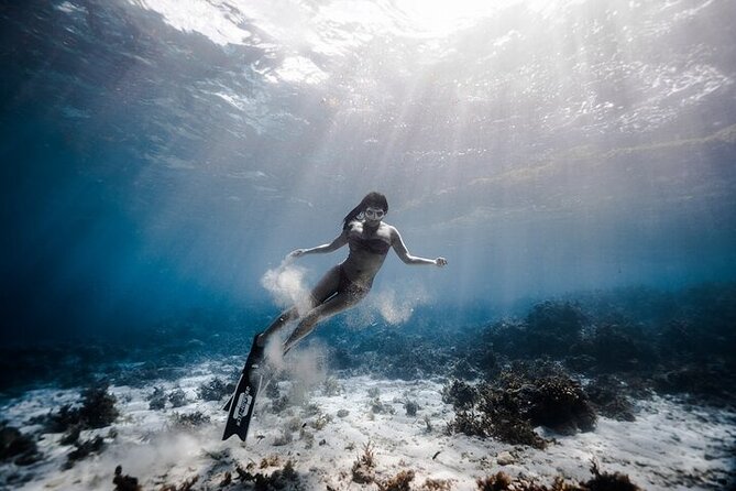 Discover Freediving One Amazing Day - The guides and the human side of the day