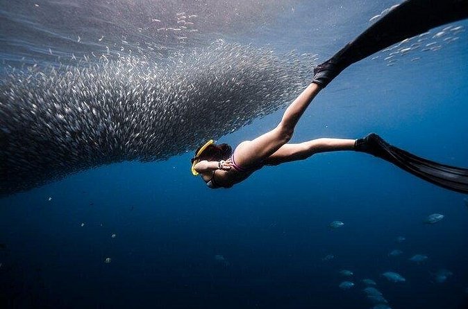 Discover Freediving One Amazing Day - Who will enjoy this most