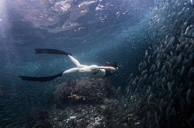 Discover Freediving One Amazing Day - How to prepare for the day