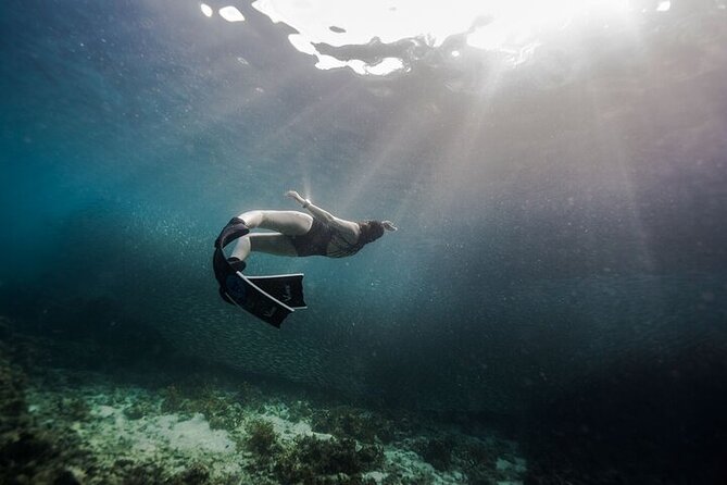 Discover Freediving One Amazing Day - Napaling Reef and the famous sardines