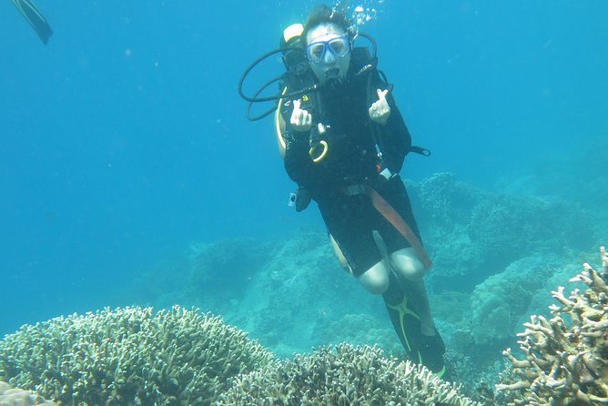 Discover Nha Trang Bay with Scuba Diving Tour - Reaching Hon Mun’s Protected Waters