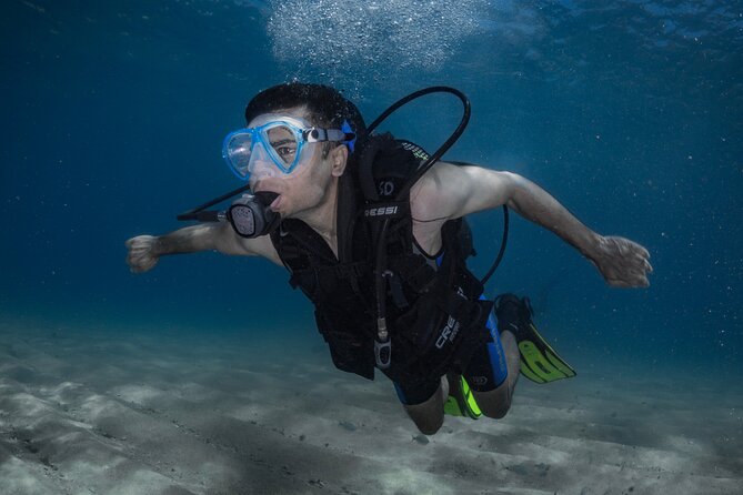 Discover PADI Diving in Barcelona - Key points to know before booking