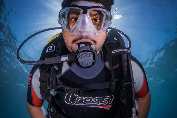 Discover PADI Diving in Barcelona - What happens during the two-hour Barcelona session