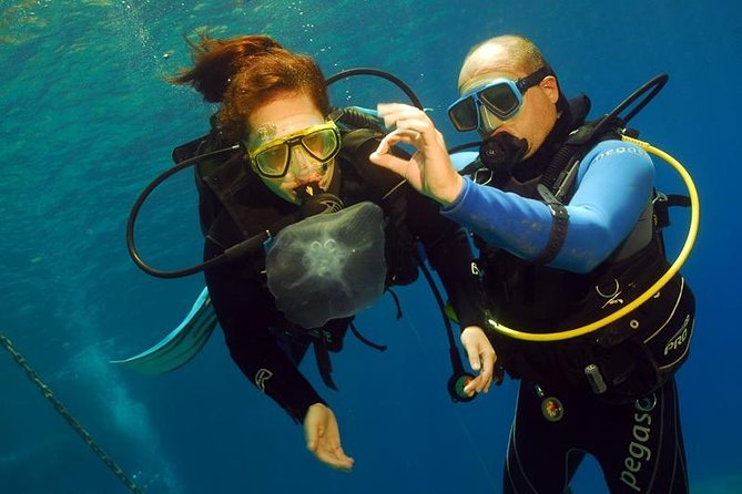 Discover Scuba - Key points to know before booking