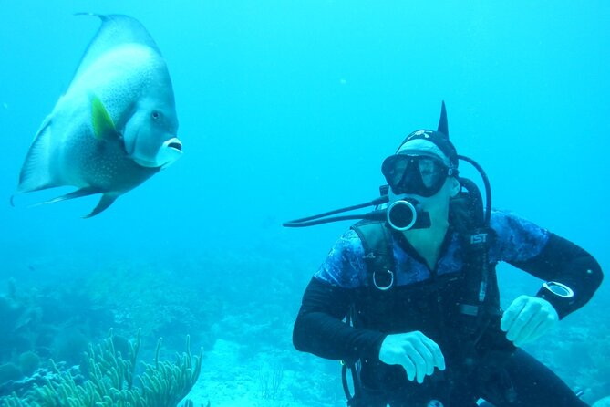Discover Scuba - The instructors make the difference