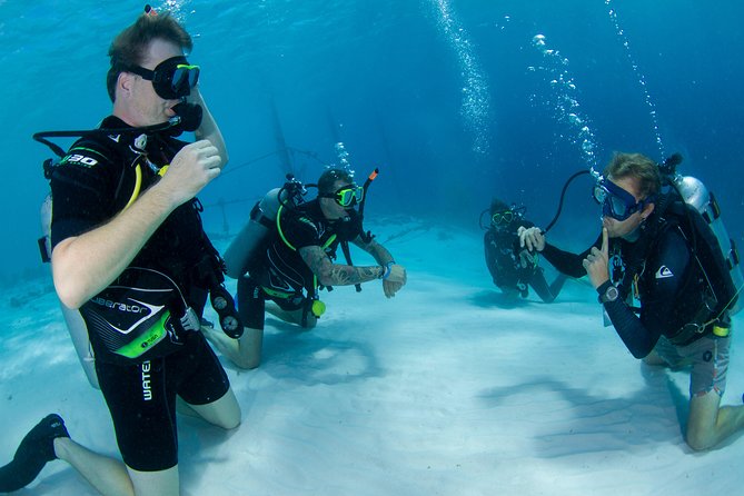 Discover Scuba Dive in Curacao - What the $125 price really covers