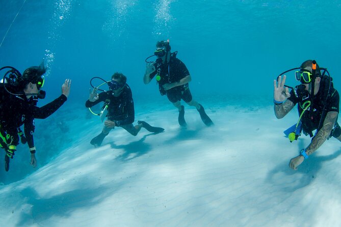 Discover Scuba Dive in Curacao - Three skills in protected, shallow water
