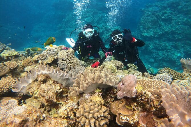 Discover SCUBA Diving 1 DIve 【Minna, Sesoko , Motobu Okinawa】 - A calm first meeting at Yamagawa Port