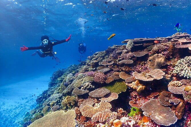 Discover SCUBA Diving 1 DIve 【Minna, Sesoko , Motobu Okinawa】 - Returning to the port and cleaning up