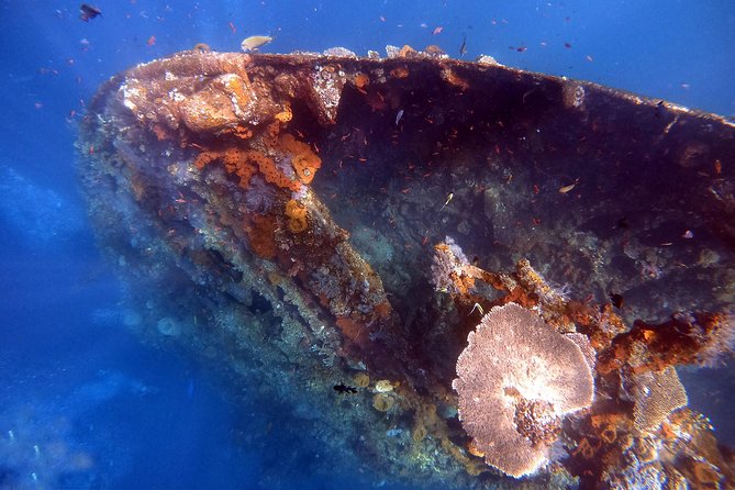 Discover Scuba Diving - Reaching the water from shore