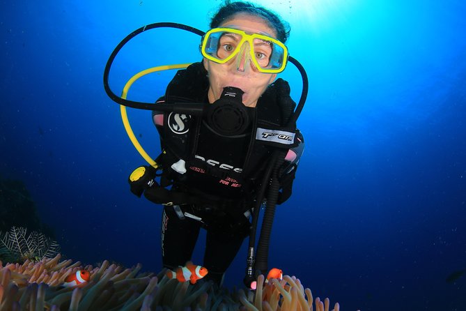 Discover Scuba diving - Who should book this experience?