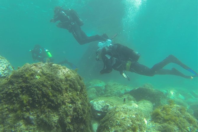 Discover Scuba Diving - Who will get the most from this experience