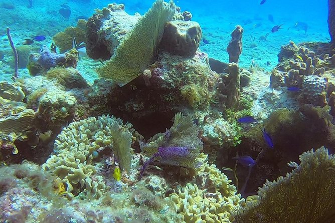 Discover Scuba Diving - Weather, cancellation, and useful planning tips