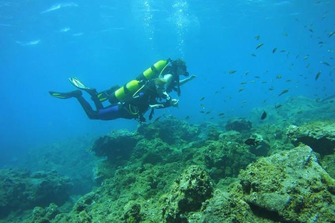 Discover Scuba Diving Adventure in Tenerife - From El Fraile to the water