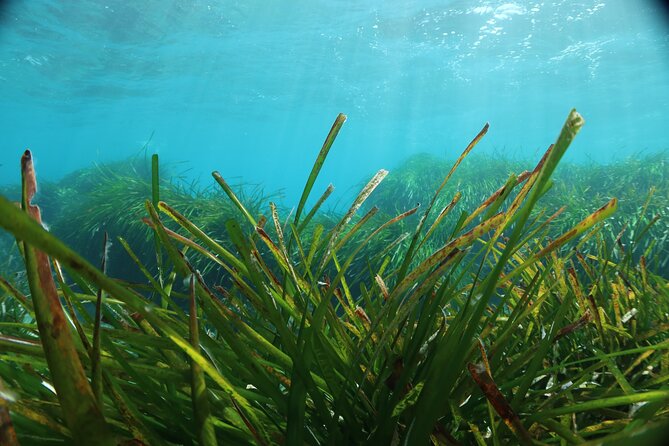 Discover Scuba Diving Amathounta's Ancient Port - Who will enjoy this most