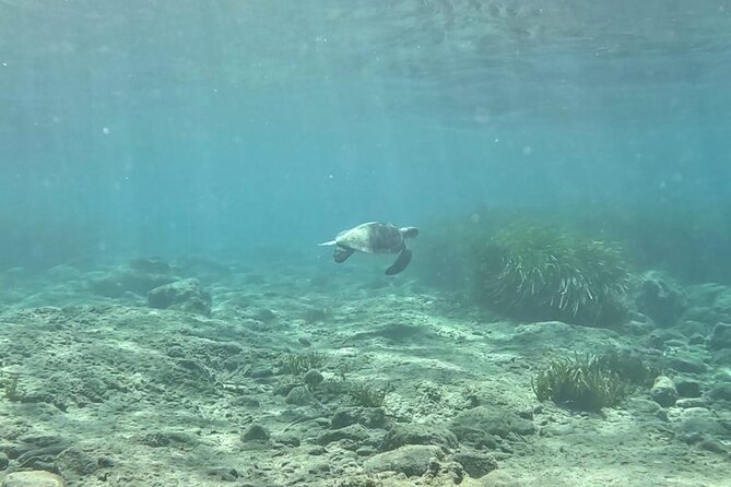Discover Scuba Diving Amathounta's Ancient Port - Starting at Santa Barbara Church