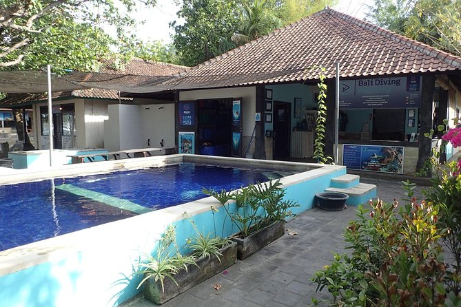 Discover Scuba Diving and dive in Menjangan Island Marine Park 2 dives - Pool practice gives beginners room to get comfortable