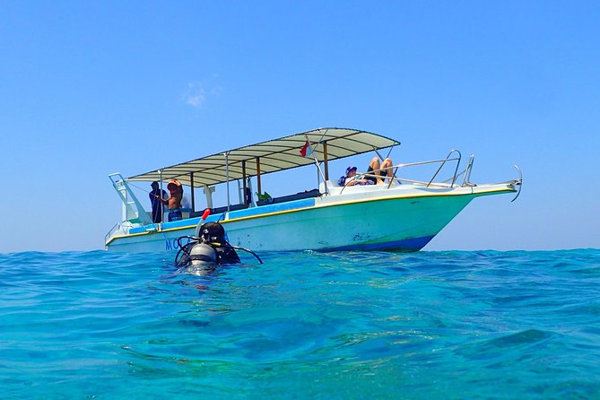 Discover Scuba Diving and dive in Menjangan Island Marine Park 2 dives - The day begins with theory and basic scuba skills