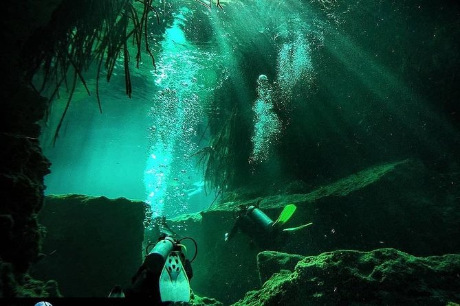 Discover Scuba Diving at Casa Cenote - Why Casa Cenote works for a first scuba lesson