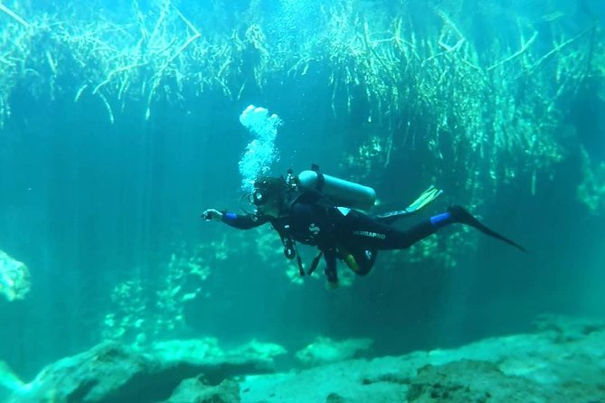 Discover Scuba Diving at Casa Cenote - Why the instruction earns the praise