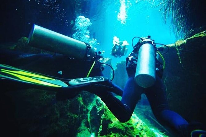Discover Scuba Diving at Casa Cenote - What happens at the 9:00 a.m. meeting point
