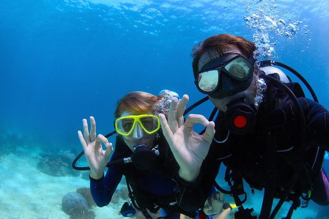 Discover Scuba Diving & Beach Club with Transportation In Riviera Maya - What the 45-minute scuba introduction really offers