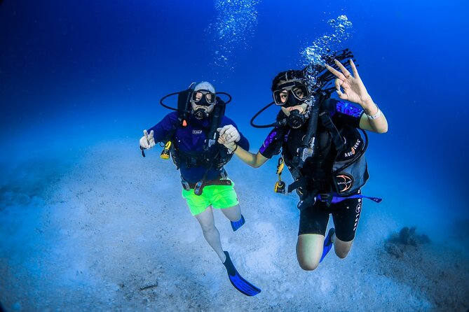 Discover Scuba Diving & Beach Club with Transportation In Riviera Maya - What happens from pickup to the water