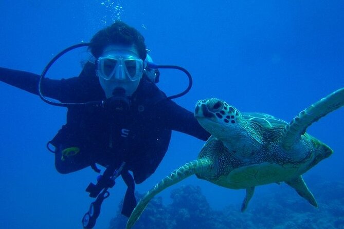 Discover Scuba Diving & Beach Club with Transportation In Riviera Maya - Is $150 a fair price?