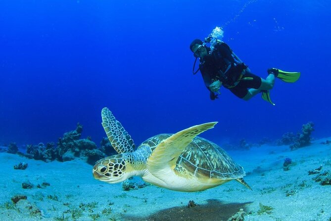 Discover Scuba Diving & Beach Club with Transportation In Riviera Maya - Maroma Beach gives the day a useful setting