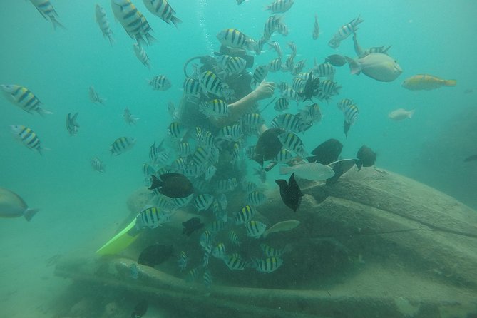 Discover Scuba Diving ( beginners) Combined With Jet Ski - Tanjung Benoa Water Sports: two activities in one place