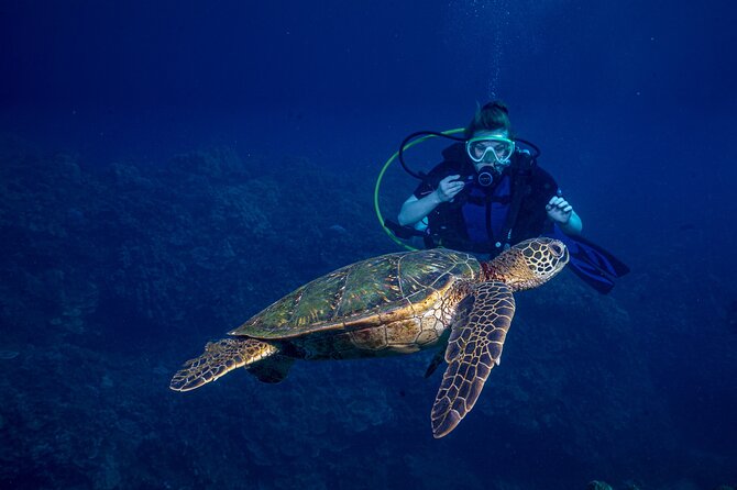 Discover Scuba Diving Class from Lahaina - Key points to know before booking