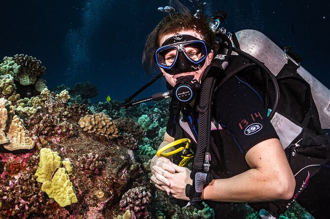 Discover Scuba Diving Class from Lahaina - The reef, turtles, sharks, and shipwreck possibilities