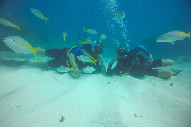 Discover Scuba Diving - DSD - The Boat Outing: Reefs, Wrecks, and a 12-Meter Limit