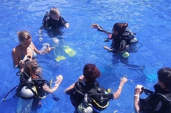 Discover Scuba Diving - DSD - The $99 Price: Is the Experience Worth It?