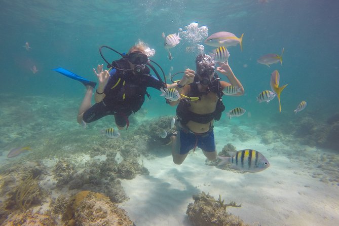 Discover Scuba Diving - DSD - Weather, Cancellation, and Planning Your Day
